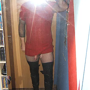 neue bilder 2011 Galeriebild