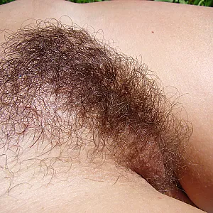 hairy pussy 3 Galeriebild