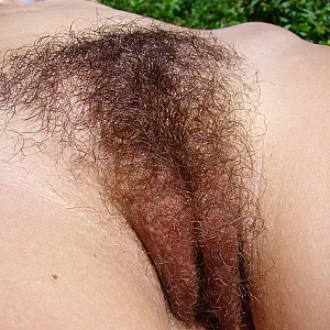 hairy pussy 3 Galeriebild