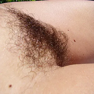 hairy pussy 3 Galeriebild