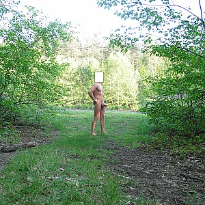 Forest glade gallery image