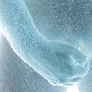 Fog3 Profile Picture