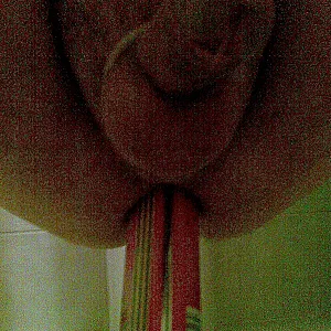 toys gallery image
