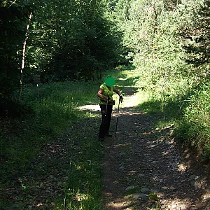 walking and had to pee gallery image