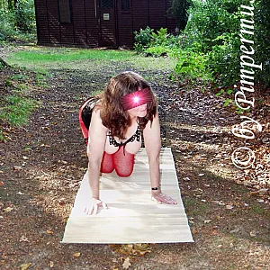 Trip 3 gallery image