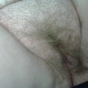 fat belly gallery image