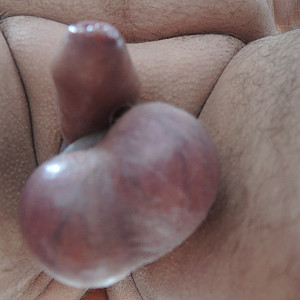 vegetable day gallery image