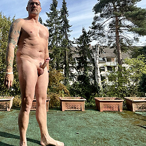 presenting my dick gallery image