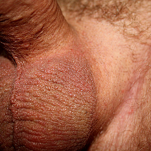 Eier zeigen Galeriebild