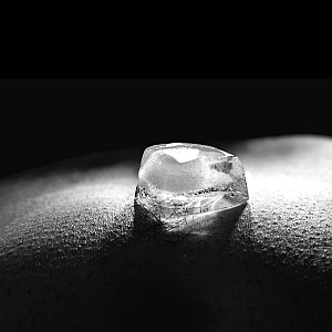 Black & white Galeriebild