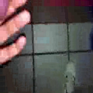 First Image Of Nylontom13's Video - Gloryhole wanking and Cumshot on Nylonfeet