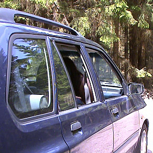 First Image Of crazy1963's Video - Horny sex in the woods 1
