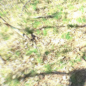 First Image Of crazy1963's Video - Fotzensaft mit Sahne
