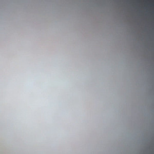 First Image Of Firepaar1's Video - Gegenseitig geil verwöhnt