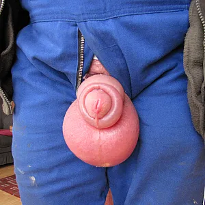 cock and balls gallery image