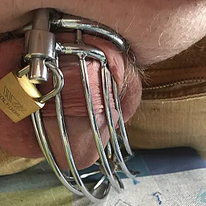 cockcage gallery image