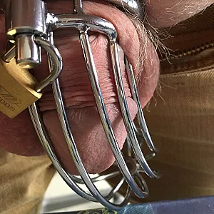 cockcage gallery image