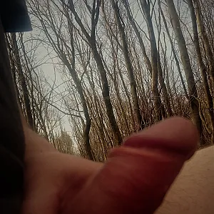 sundaywalk in wood gallery image