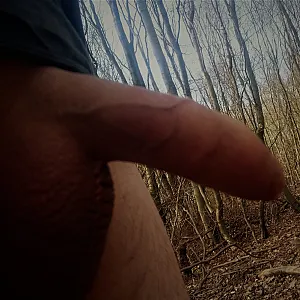 sundaywalk in wood gallery image