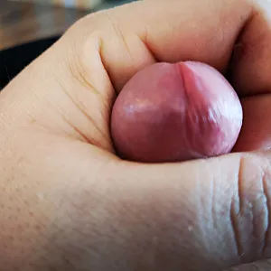 First image of Derbuddy's Gallery - cock