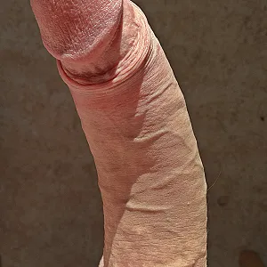 some pics gallery image