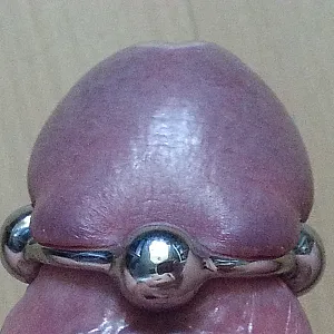 Neue Ringe Galeriebild