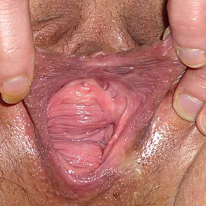 closeups gallery image