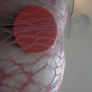 fishnet gallery image