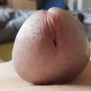 wanking gallery image