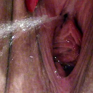 nylon pee gallery image