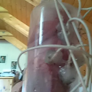 E-Sex und Pump Galeriebild