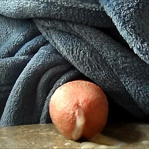 Zweimal geile Sahne Galeriebild
