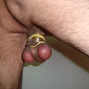 cock & balls bondage gallery image