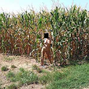 nude in cornfield gallery image