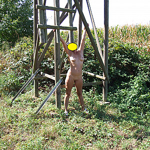 nude in cornfield gallery image