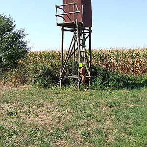 nude in cornfield gallery image