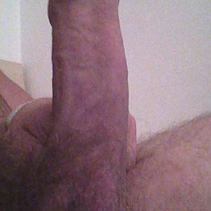 hairy cock gallery image