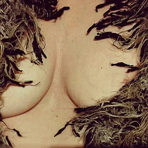 love to show me gallery image