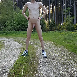 nude in wood gallery image