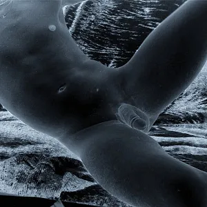 act gallery image