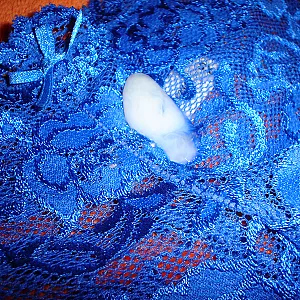 Blaues Panty mit Sperma Galeriebild