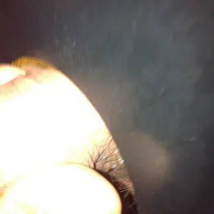 Besuch im Pornokino Live erotica Bochum Galeriebild