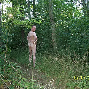 woods gallery image