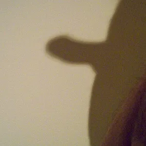 shadowpics gallery image