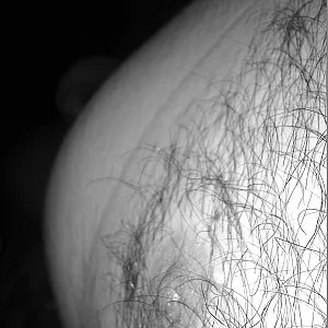 Shades of Grey ;-) gallery image