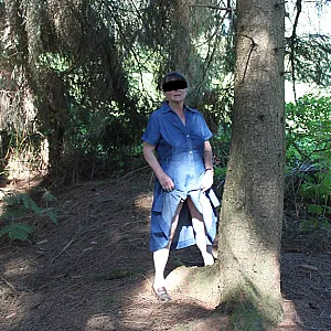 Im Wald 1 Galeriebild