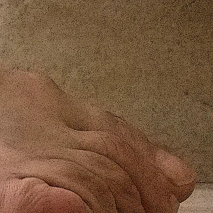 just so gallery image