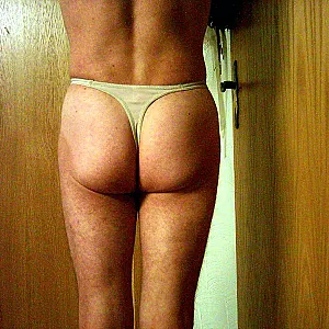 my female lingerie gallery image