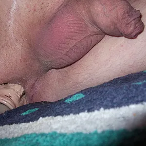 horny evening gallery image