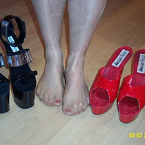 my feets gallery image